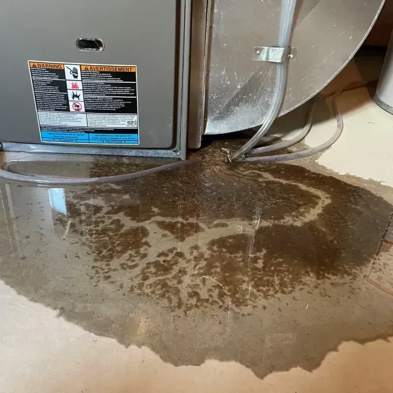 Appliance Leak Cleanup in DeLand, FL